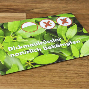 produkte_selfmailer_wallimann_druck_verlag_beromuenster