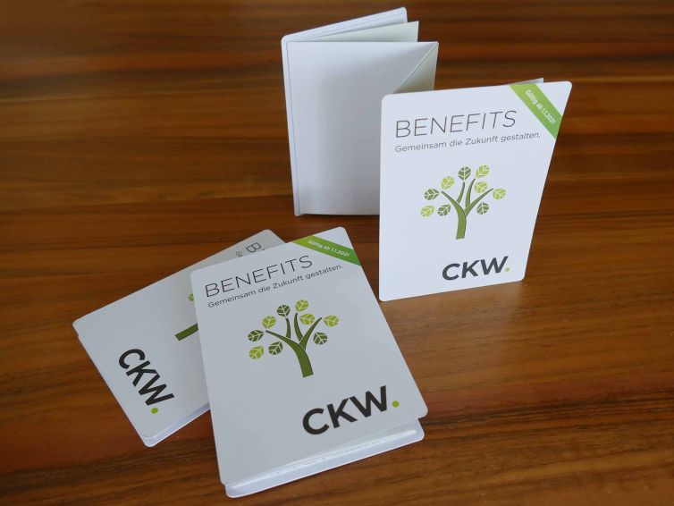 Pocketguide zum auseinanderfalten von der CKW, gedruckt von Wallimann Druck und Verlag AG.