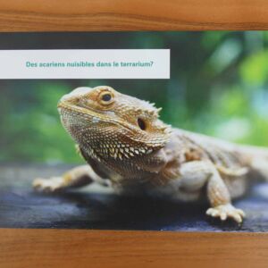Andermatt Biogarten Postkarte produziert von Wallimann Druck.
