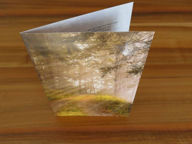 Danksagung mit em Bildmotiv Sonnenstrahlen im Wald.