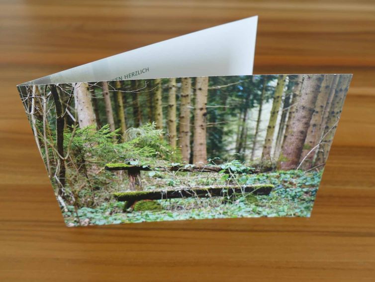 Danksagungskarte mit dem Motiv einer Bank im Wald.