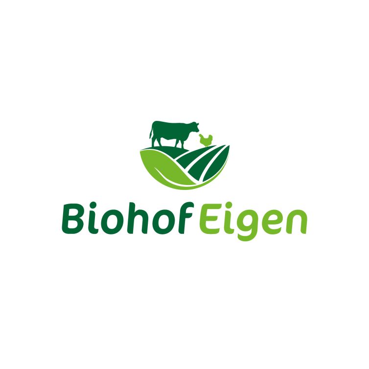 Website und Logo sind erstellt von Wallimann Druck und Verlag AG.